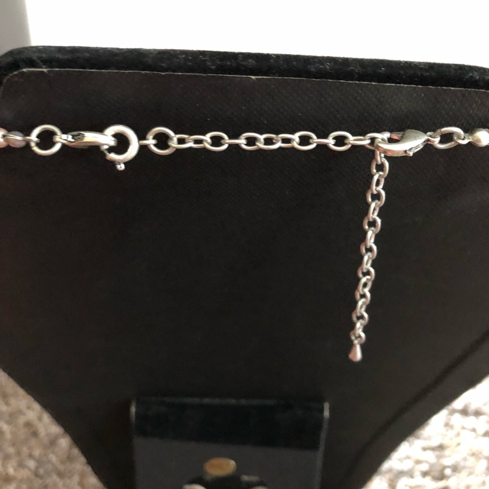 Premier Spring Break - image 6